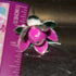 Pure Silver Lotus Flower 5g 1 Piece